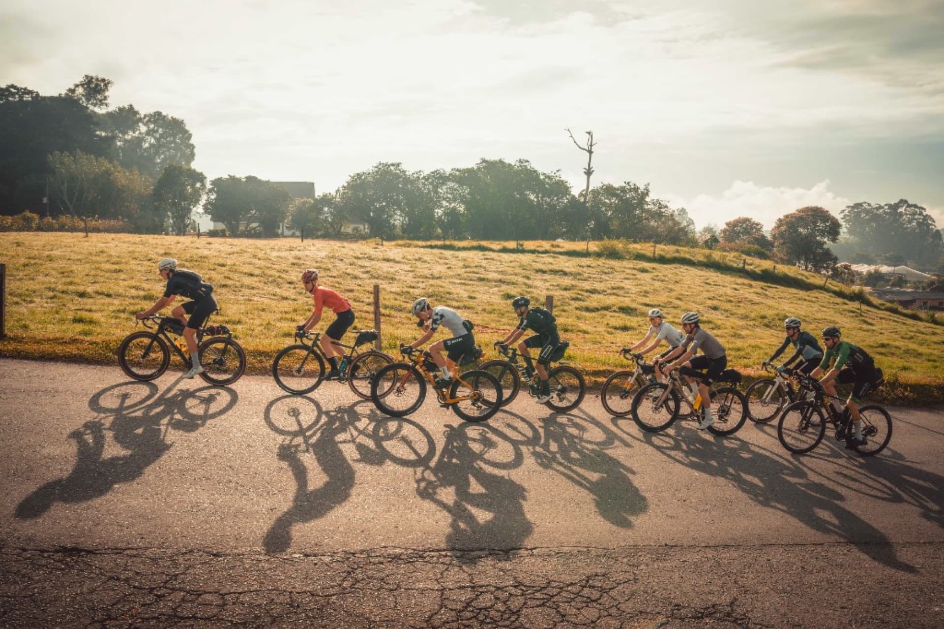 Pelotón de ciclistas al atardecer